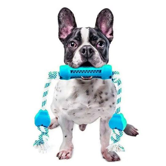 https://www.frenchieglobe.com/wp-content/uploads/2023/03/French-Bulldog-Tooth-Cleaning-Chew-Toy-540x540.jpg